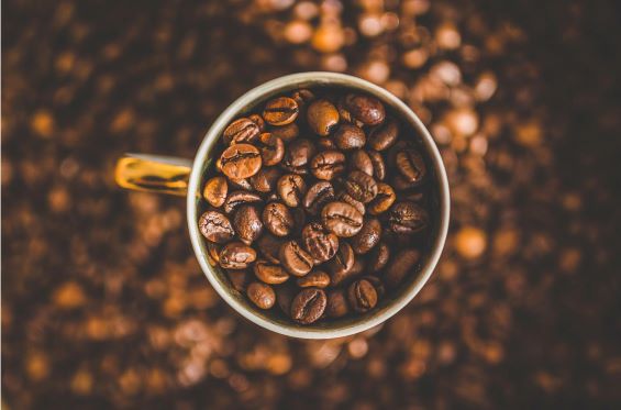 coffee beans in cup