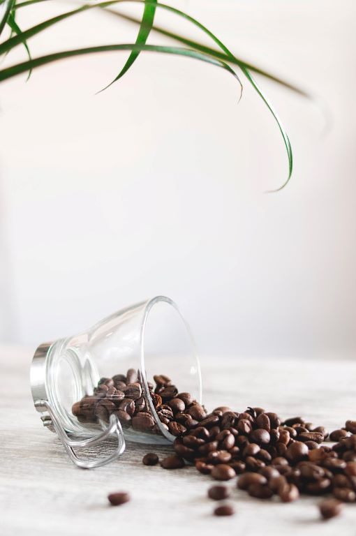 spilled coffee beans