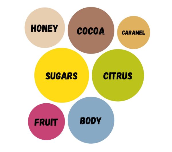 yirgacheffe flavor chart